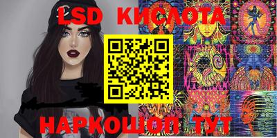 прущие грибы Можайск