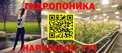 прущие грибы Можайск