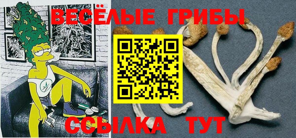 Псилоцибиновые грибы прущие грибы Славянск-на-Кубани