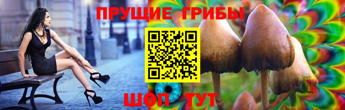 Псилоцибиновые грибы Cubensis  Галлюциногенные грибы Psilocybe  Славянск-на-Кубани  Вход с VPN 